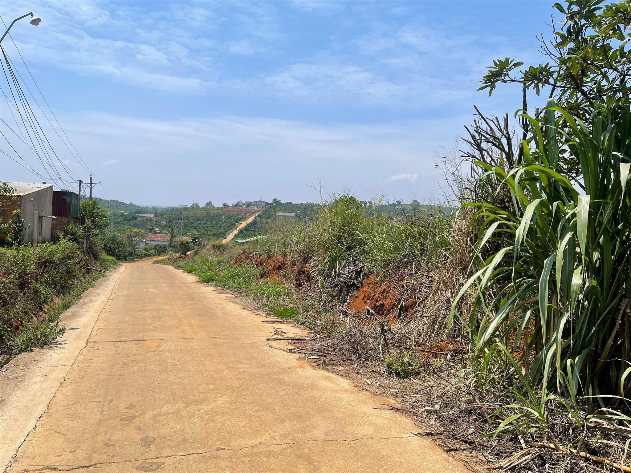 BÁN ĐẤT XÃ TÂN THANH LÂM HÀ CÁCH ĐÀ LẠT 65KM - Ảnh 2